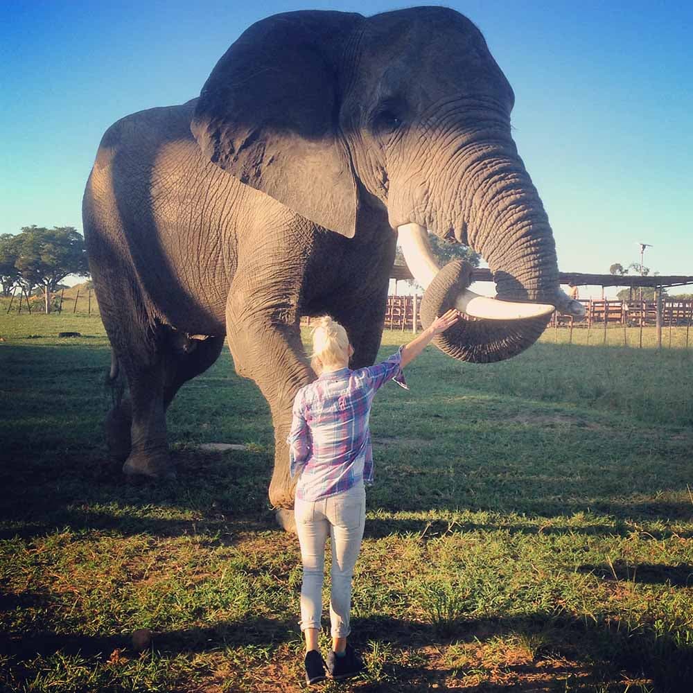 woman in front of elephant with arm outstretched
