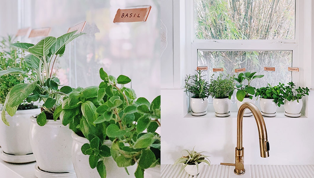 2 images side by side of an indoor herb garden. The left side is a close up of the various herbs like basil in small pots; the image on the right is a wider shot of the herb garden lined up against a window above a white tiled sink.