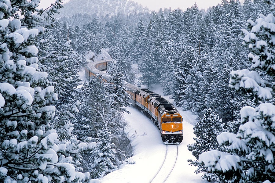A train passes through a snow covered forest