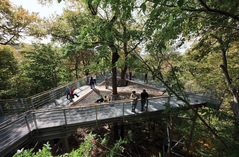 elevated walkway through the trees at Morris Arboretum