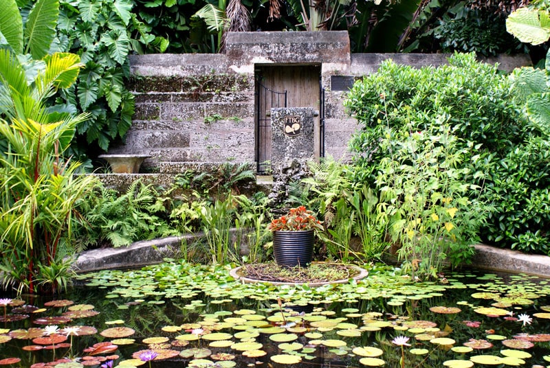 Sibley Victoria pool at Fairchild Tropical Botanical garden
