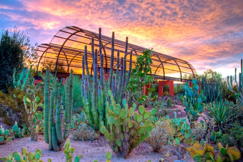 exterior of greenhouse at Desert Botanical Garden