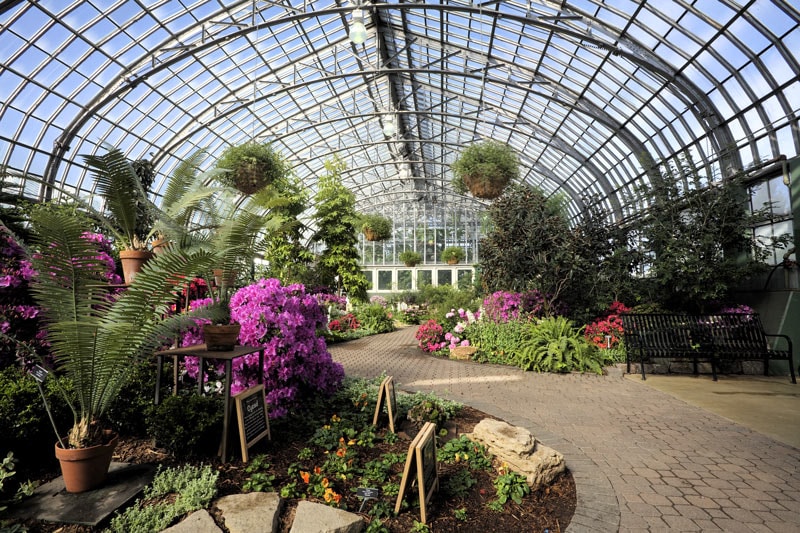 Inside the arboretum at Garfield Park Conservatory