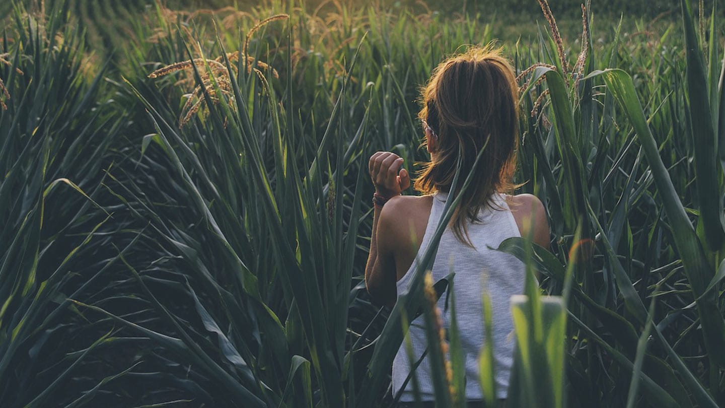 The Ultimate Summer Break, Scandinavian Style