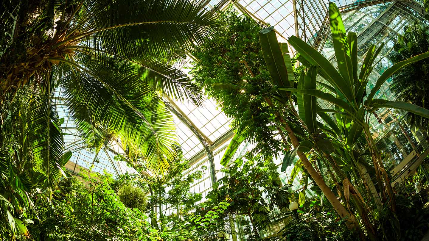 No Passport Required: Secret US City Gardens Revealed